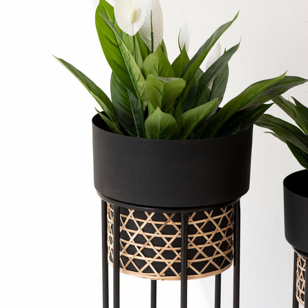 Handwork Cane Planters with Textured Matt Black Finish (Set of 2)