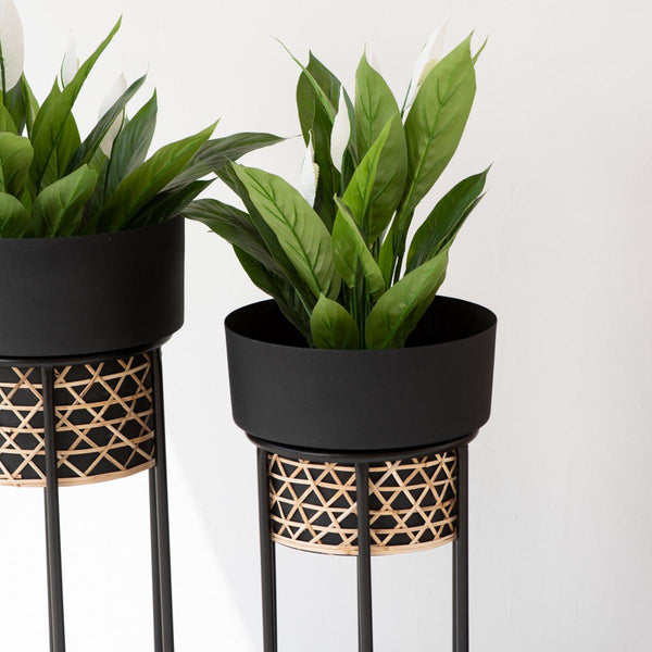 Handwork Cane Planters with Textured Matt Black Finish (Set of 2)
