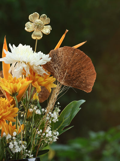 Natural Sponge mushroom