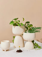Handmade Organic Planter