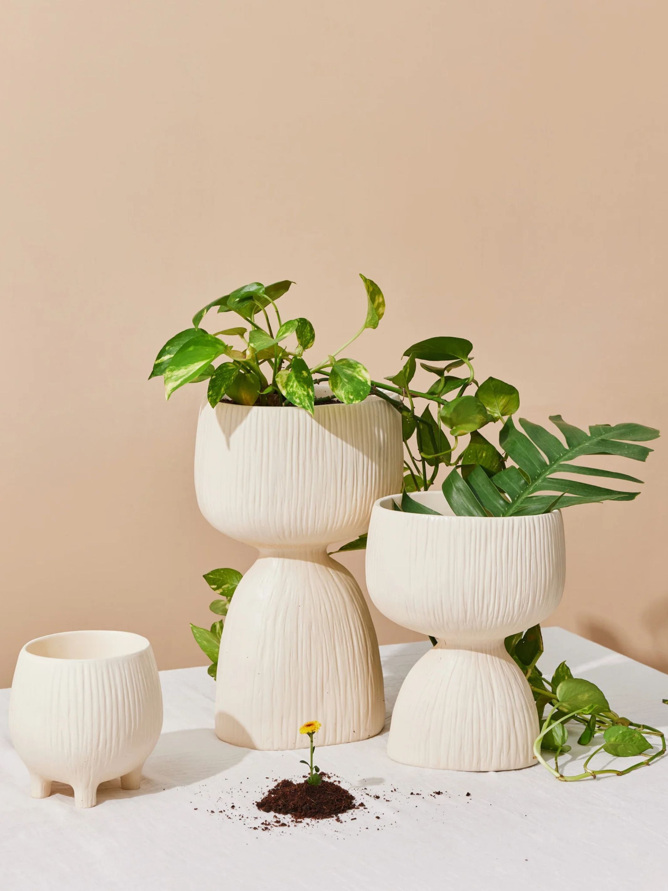 Handmade Organic Planter