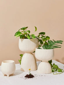Handmade Organic Planter