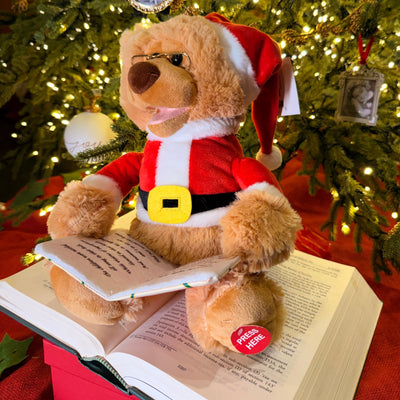 Talking Santa Teddy