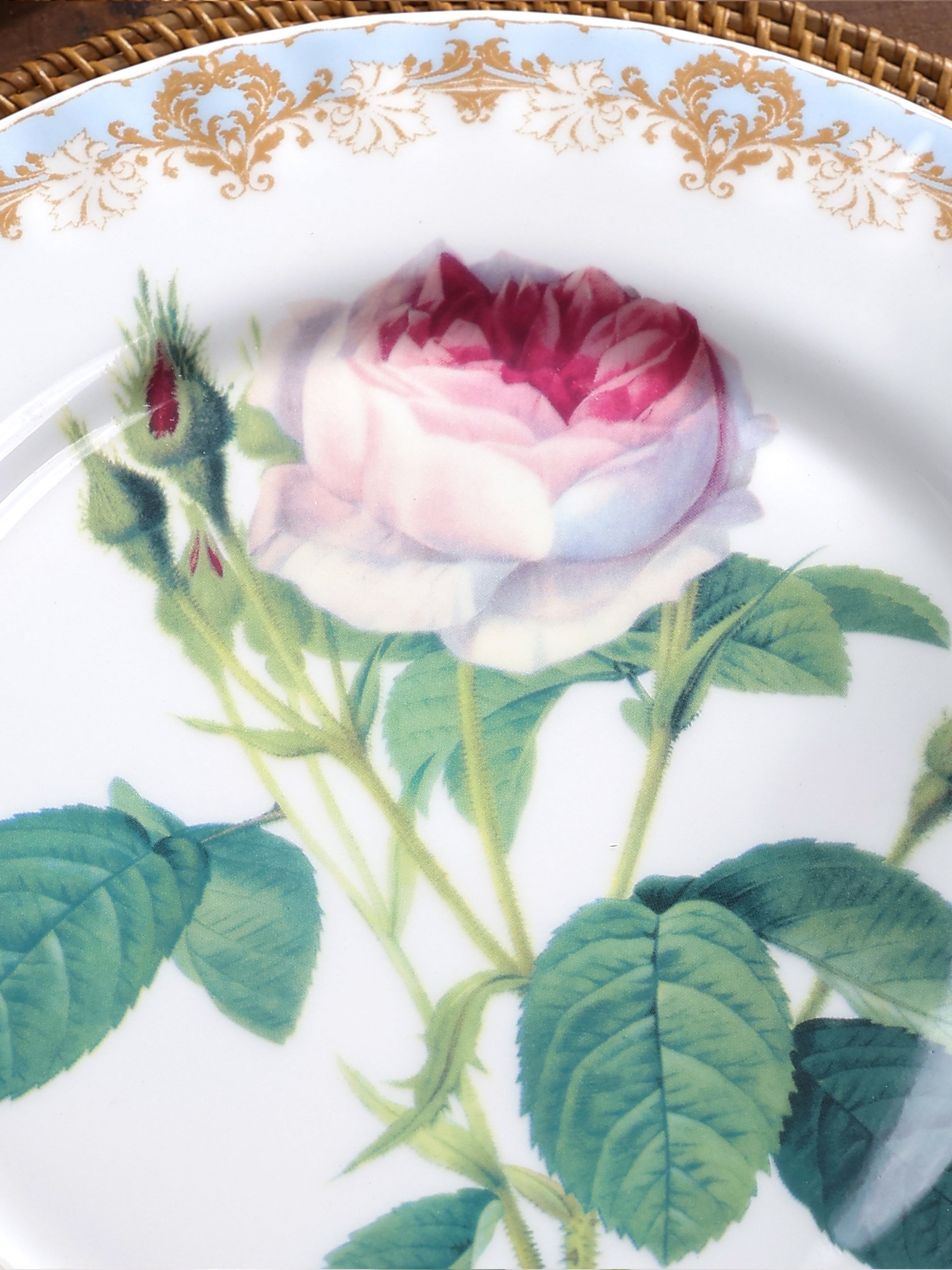 Vintage Rose Dinner Plate (Box of 6)
