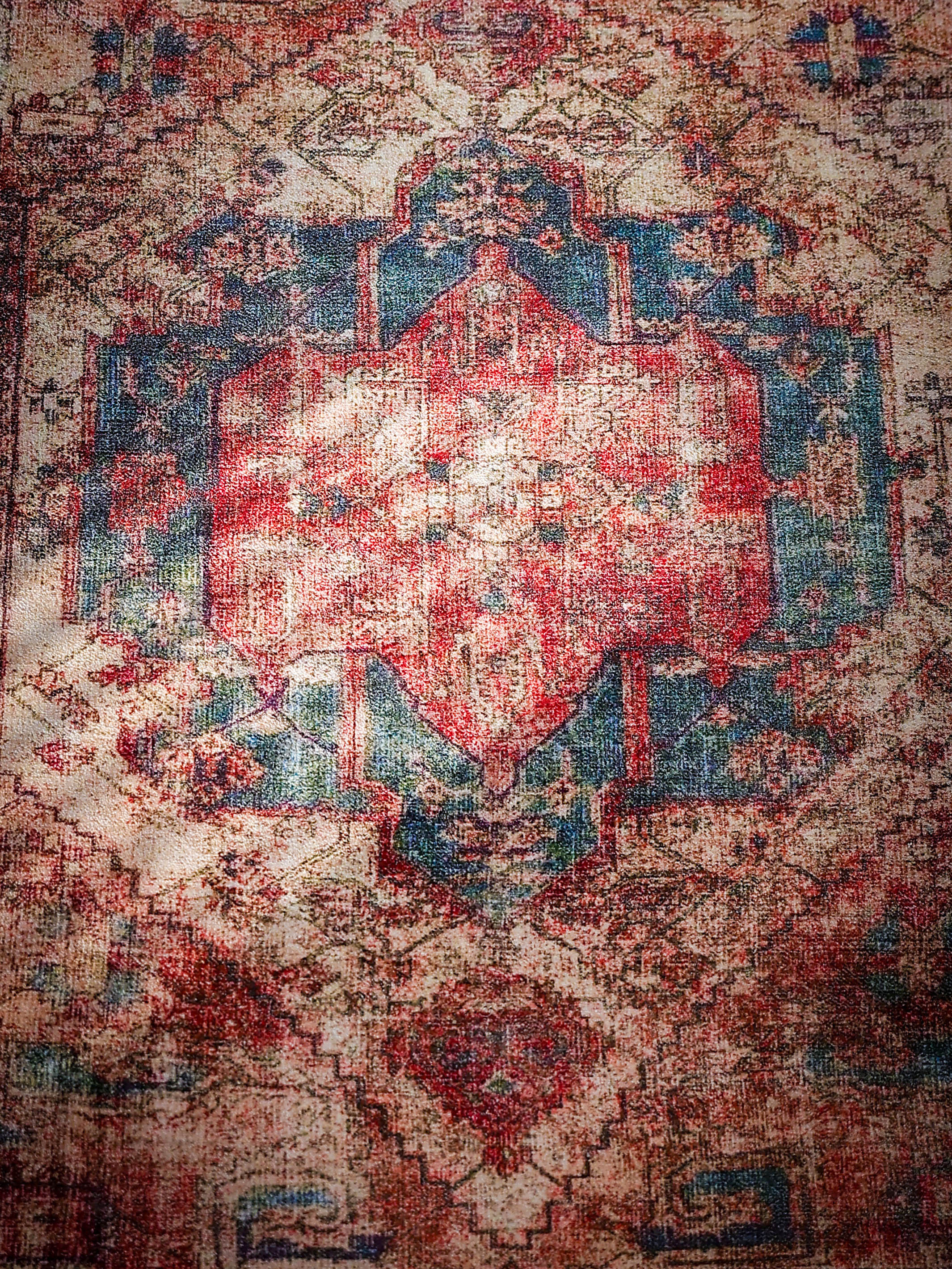 Printed Chenille Rug - Ruby Rose