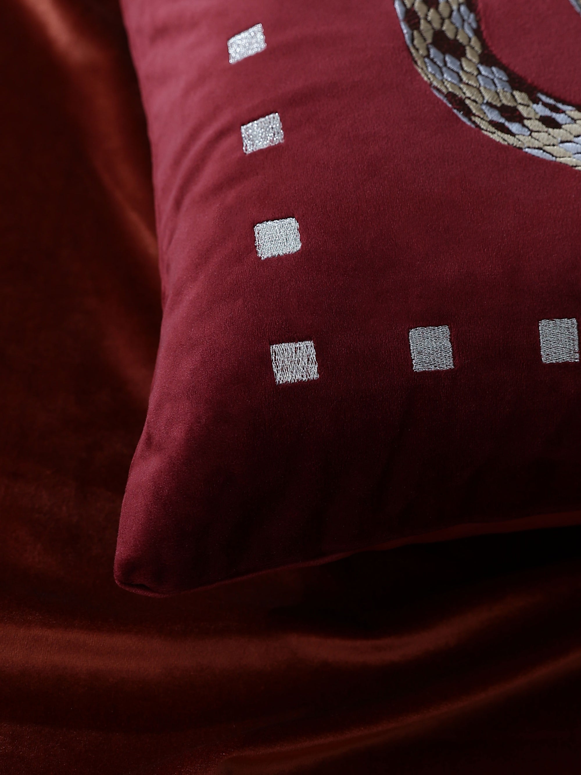 Vasuki Ruby Velvet Cushion