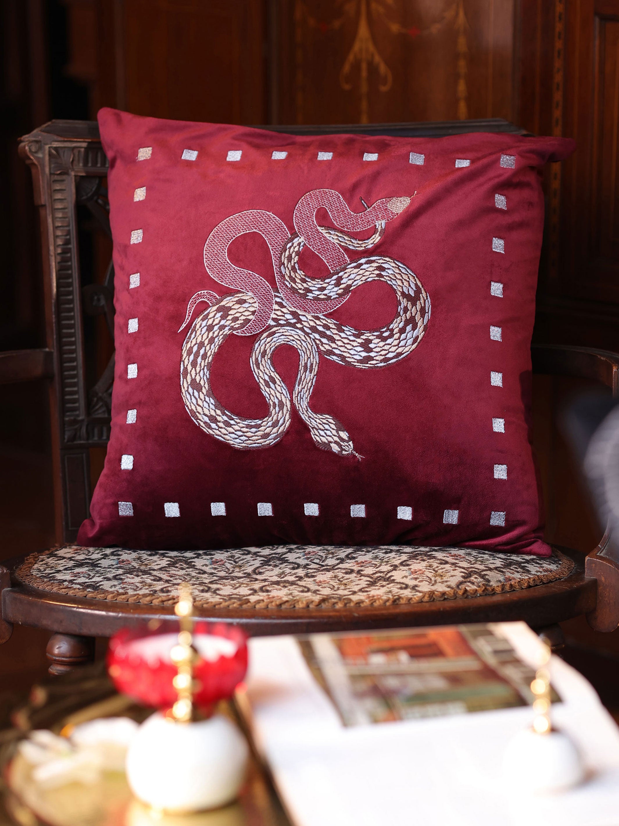 Vasuki Ruby Velvet Cushion