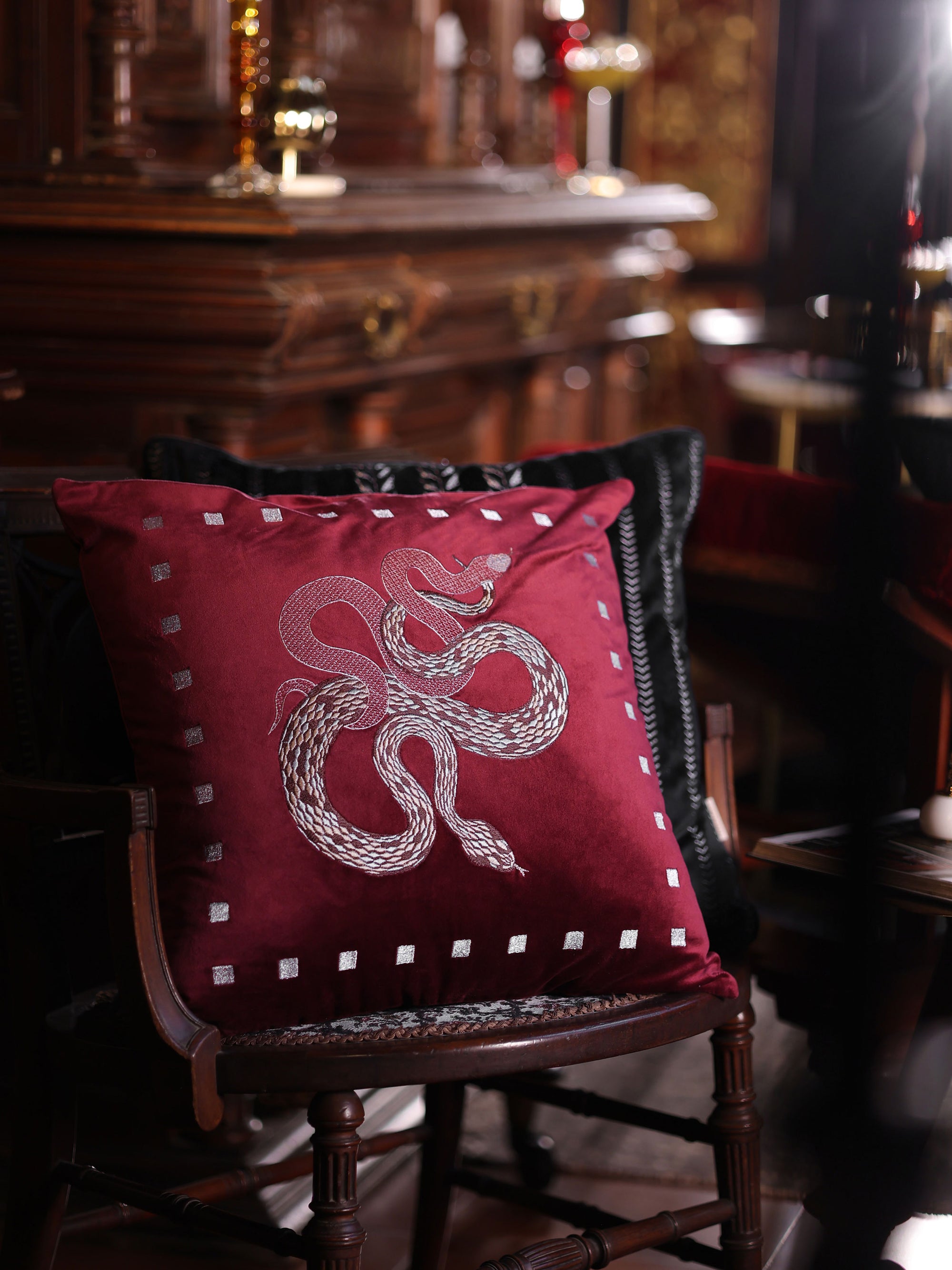 Vasuki Ruby Velvet Cushion