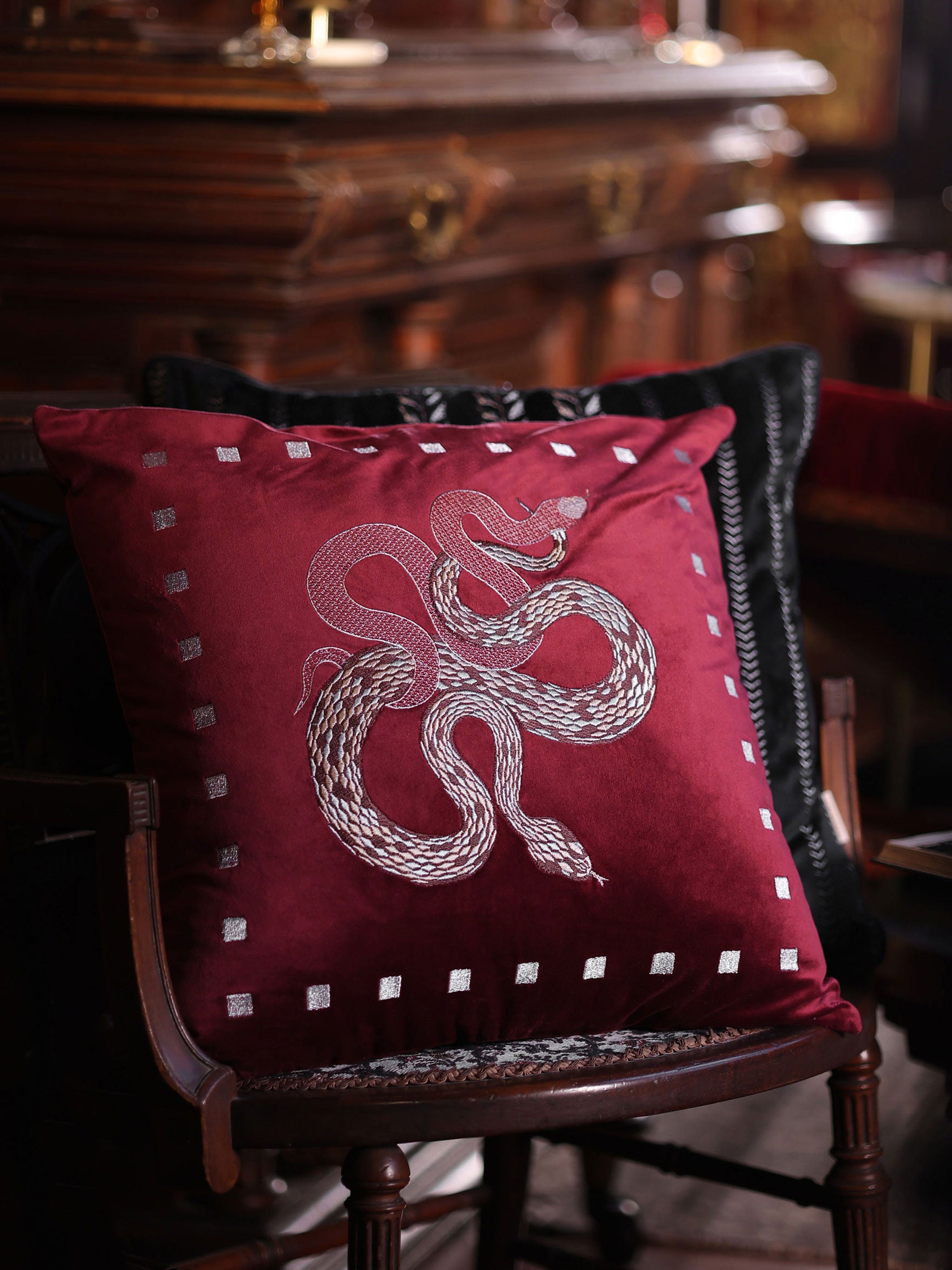 Vasuki Ruby Velvet Cushion