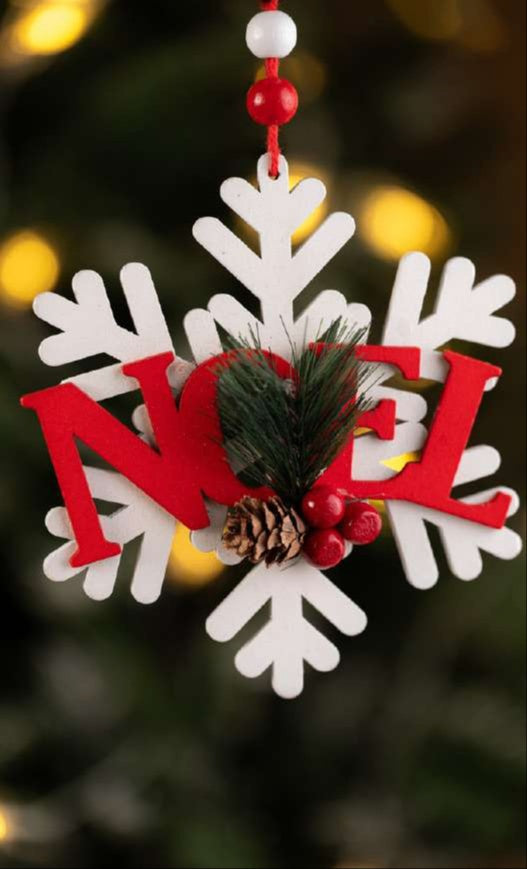 White Snowflake Hanging Ornament with Noel Text_CC40