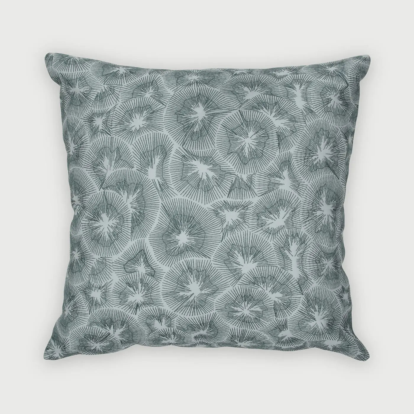 Kiwi Baby Blue Cotton Cushion Cover SanctuaryLiving