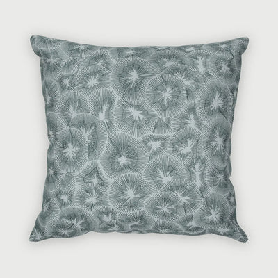 Kiwi Baby Blue Cotton Cushion Cover SanctuaryLiving