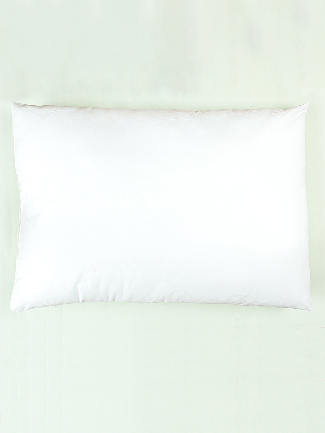 Solid Set Of 2 Pillow Fillers (White)