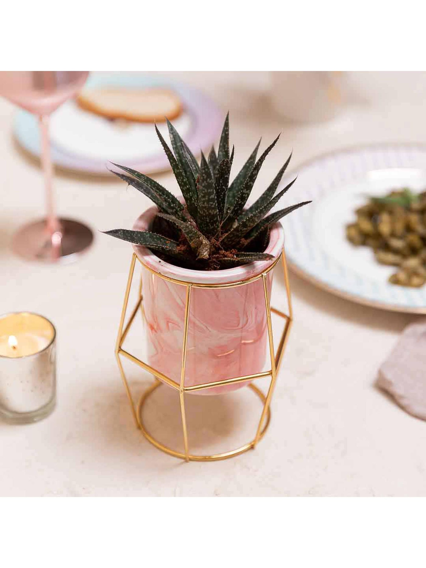 Pink Ceramic Planter - Hexagon Gold Stand