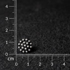 Rangphul Studs