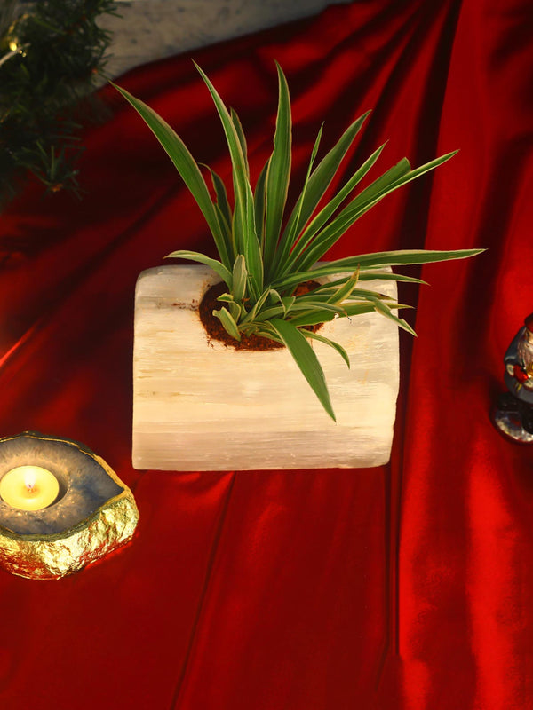Semi Precious Selenite Planter