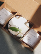 Set of 2 Soaps & a Soap-dish