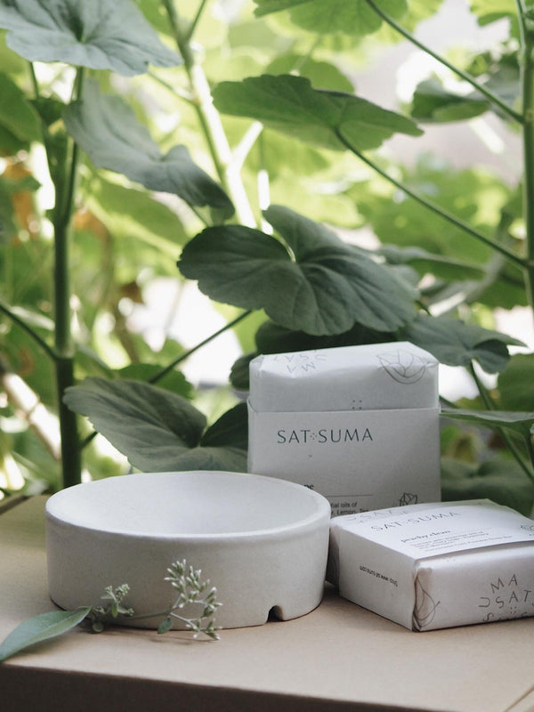 Set of 2 Soaps & a Soap-dish