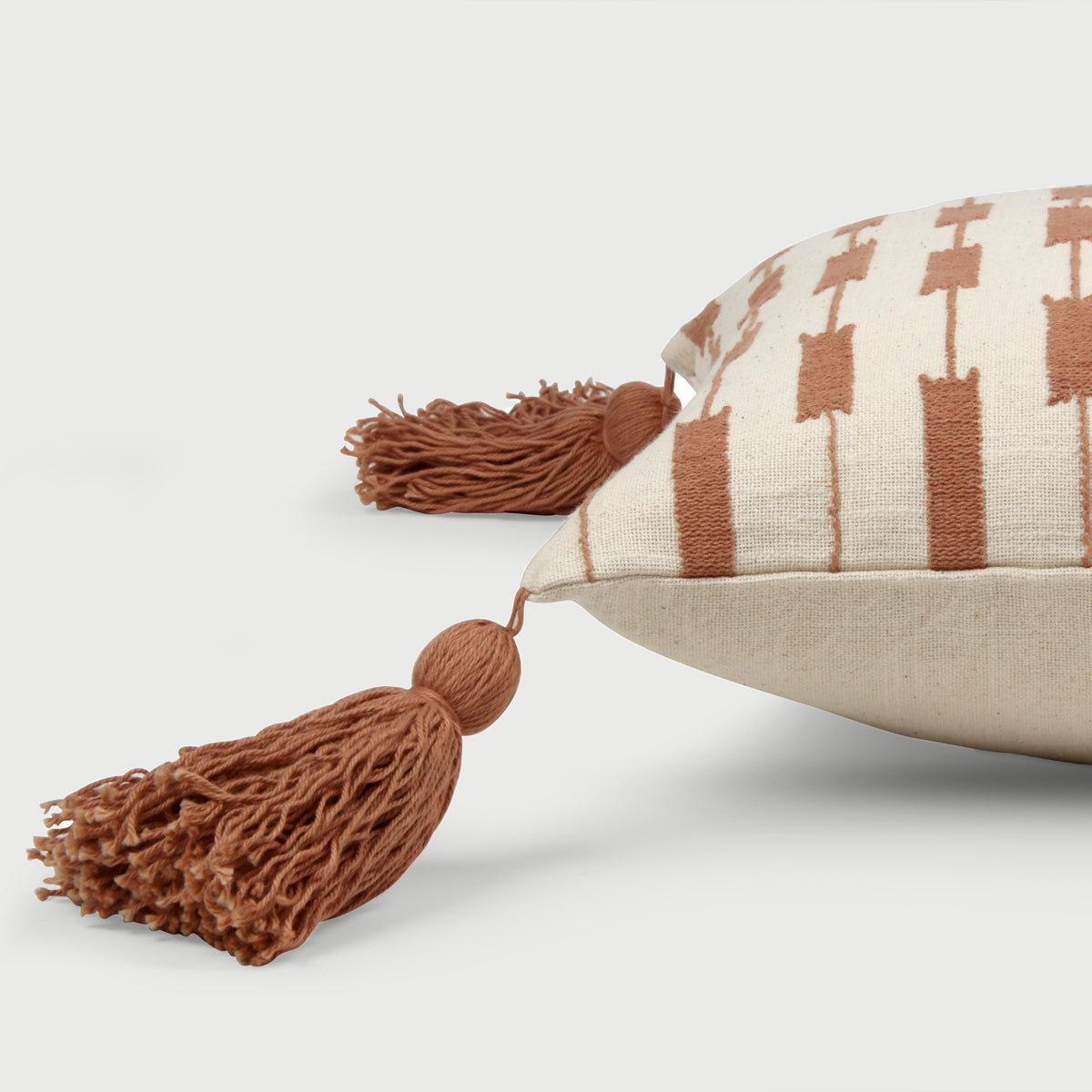 Iris Spice Cushion Cover