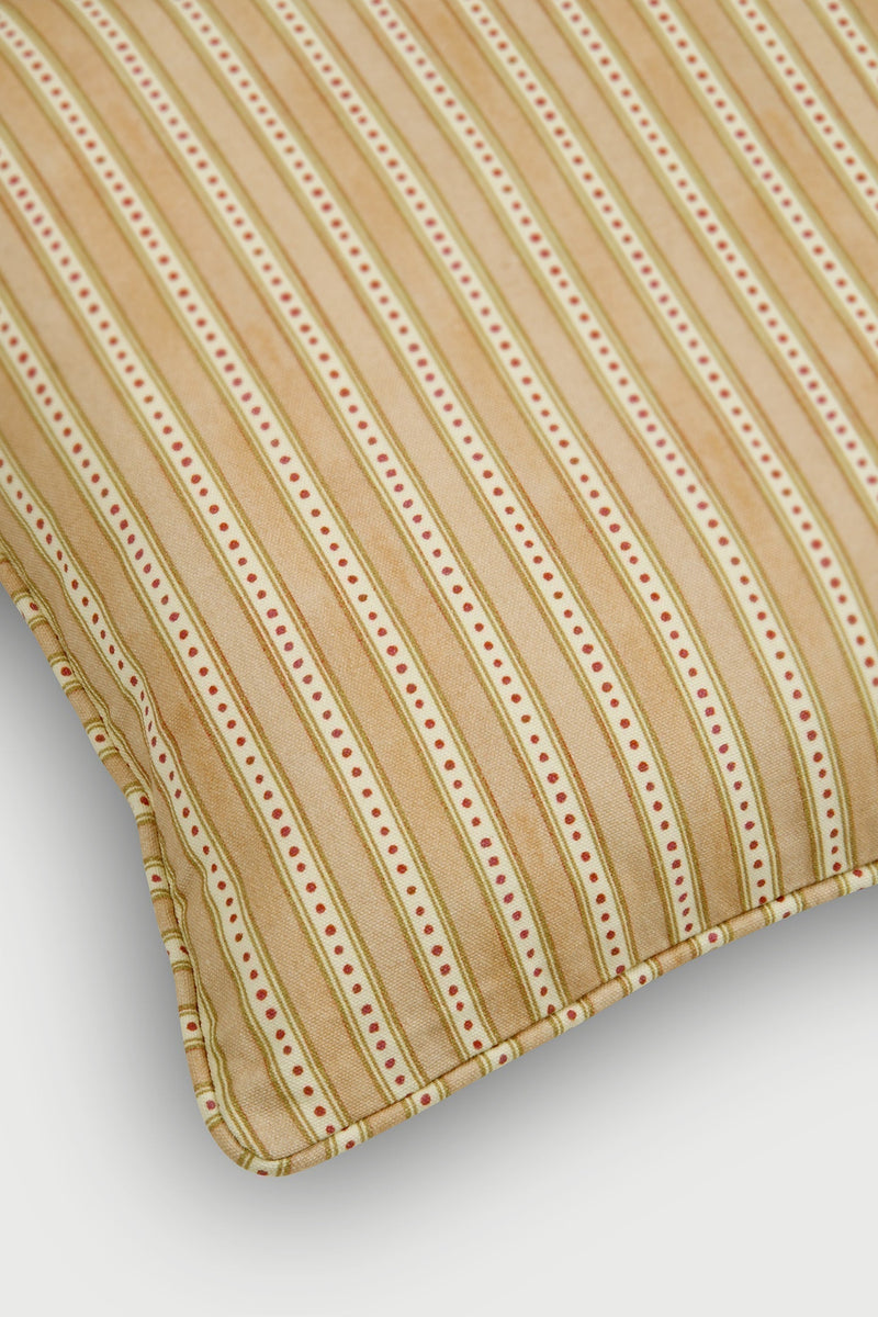 River Apricot Cushion Cover