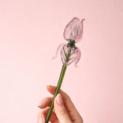 The Blush Sonata (Set of 8 Roses )