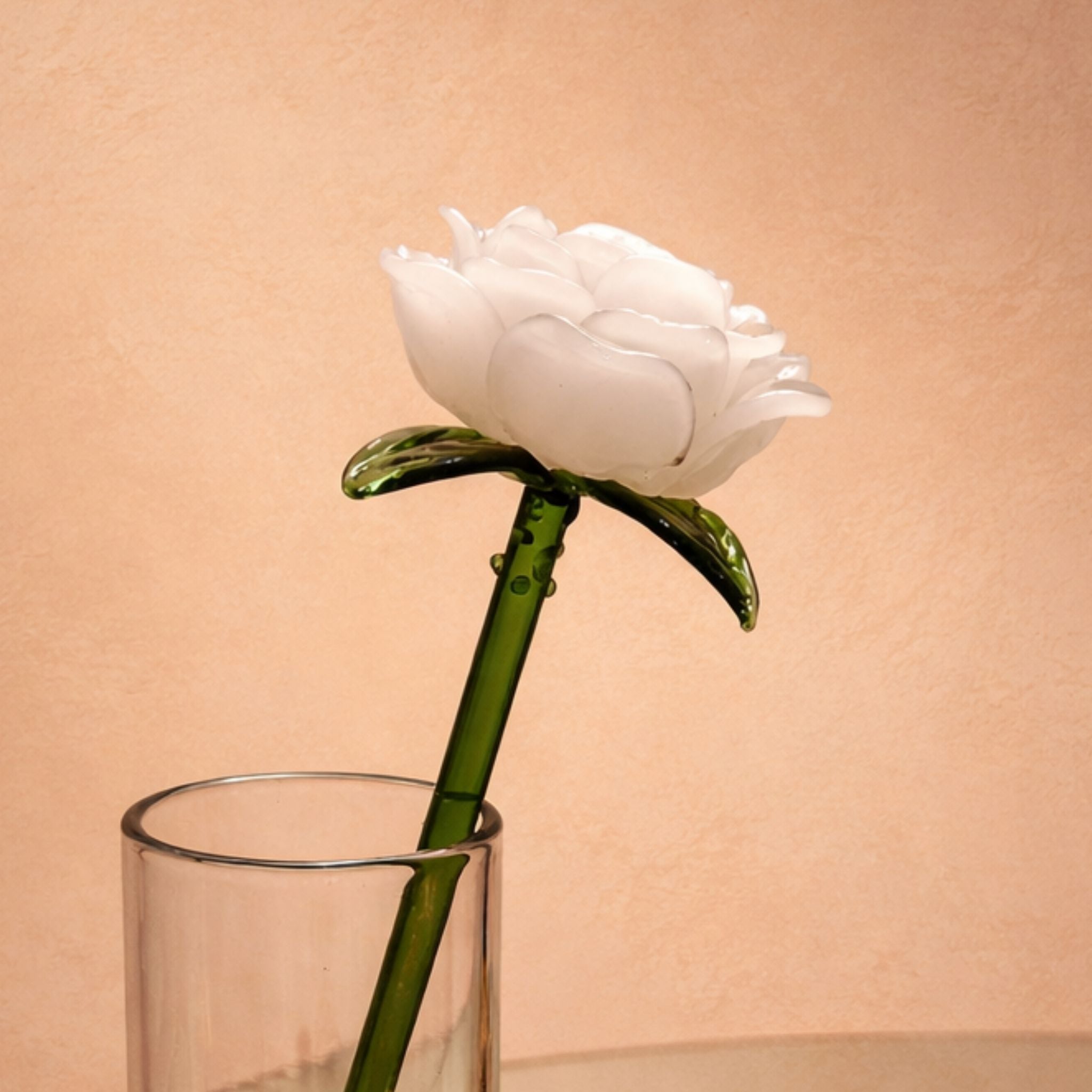 Riviera Rose - Luxury Edition