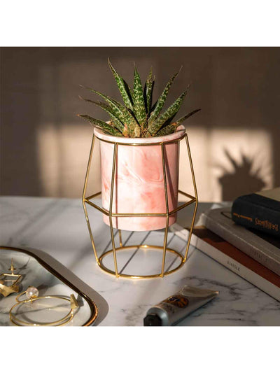 Pink Ceramic Planter - Hexagon Gold Stand