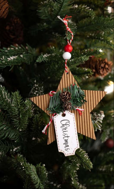 Brown Star Hanging Ornament with Pinecone and Christmas Tag_