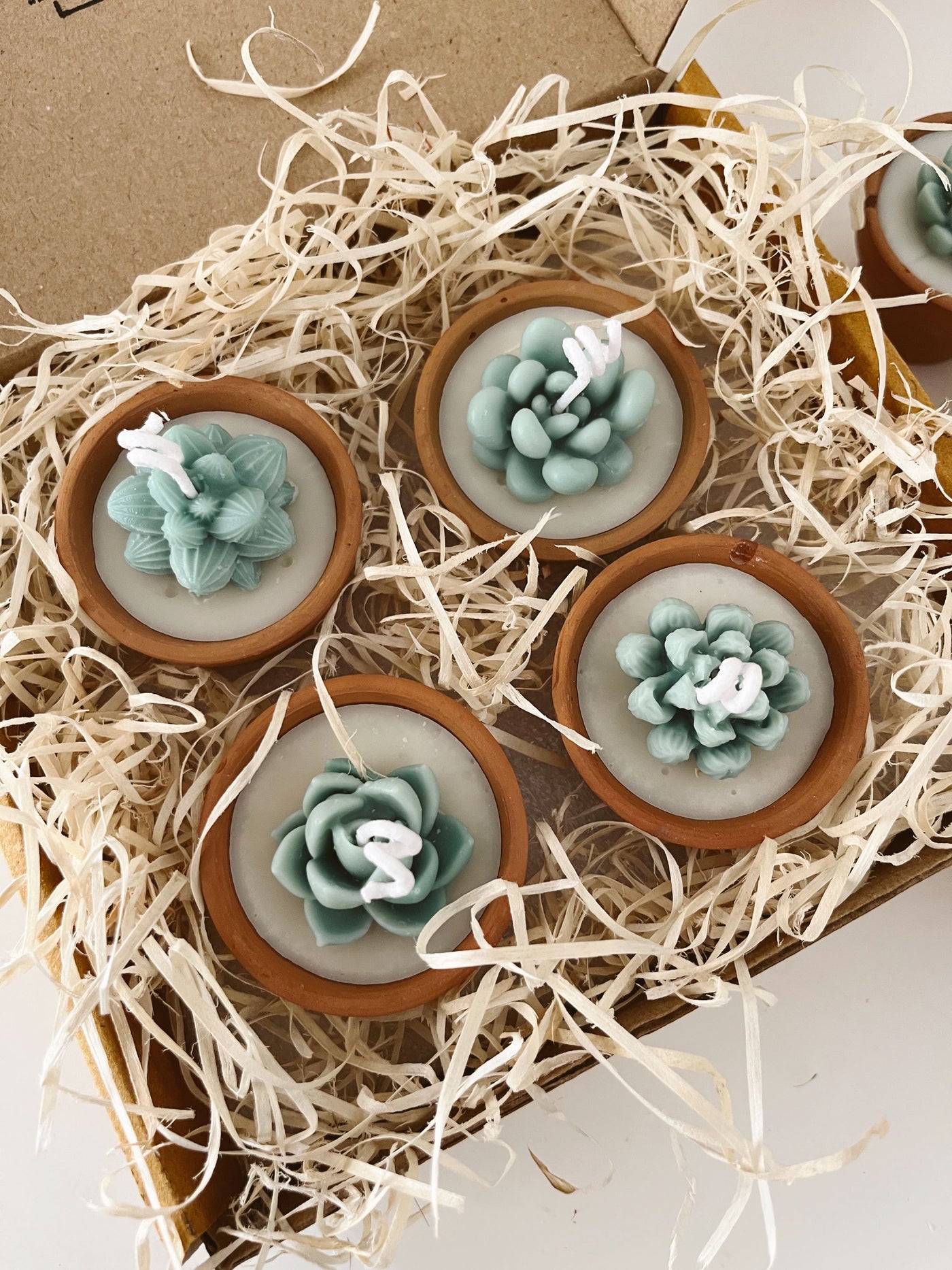 Terracotta Succulent Candle Assorted