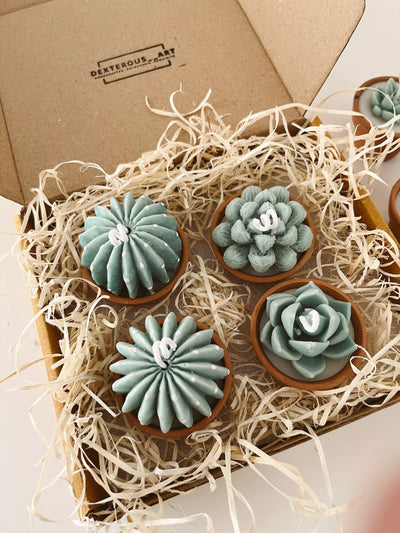 Terracotta Succulent Candle Assorted