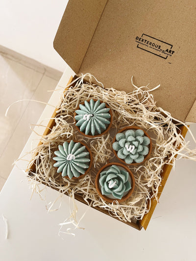 Terracotta Succulent Candle Assorted