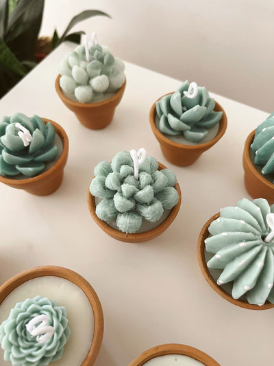 Terracotta Succulent Candle Assorted