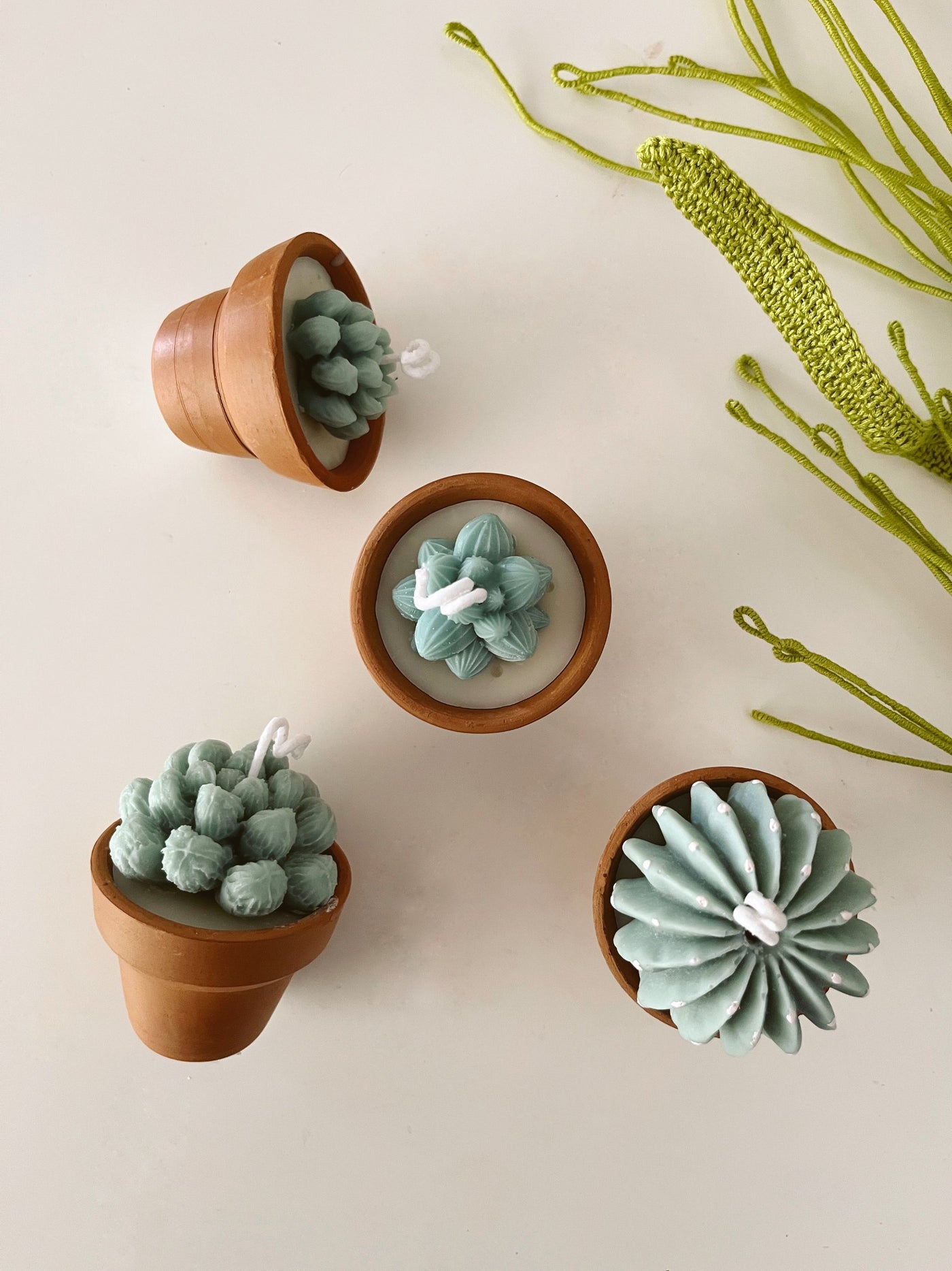 Terracotta Succulent Candle Assorted