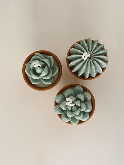 Terracotta Succulent Candle Assorted