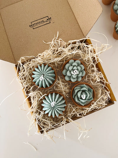 Terracotta Succulent Candle Assorted