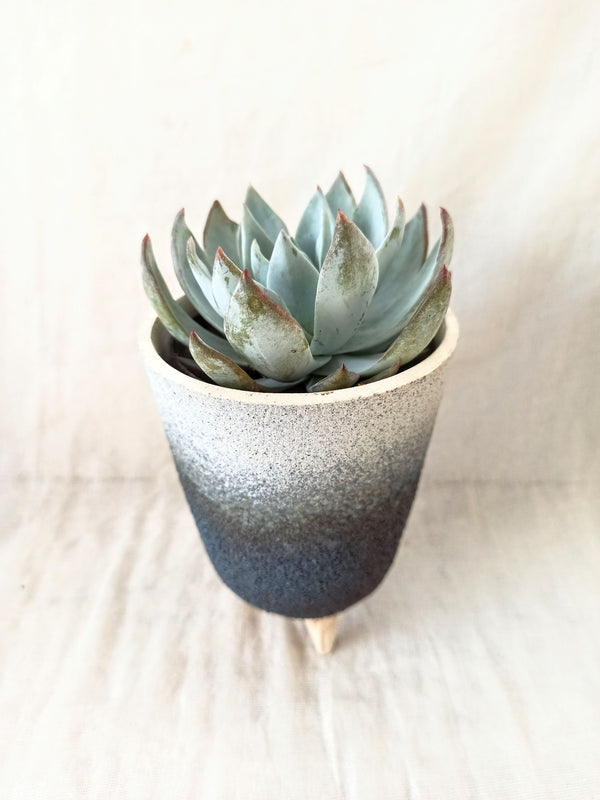 VG Fat Tapered Planter