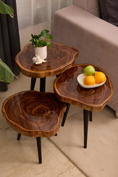 Nesting Table Set of 3 – Teak Wood with Transparent Resin Finish