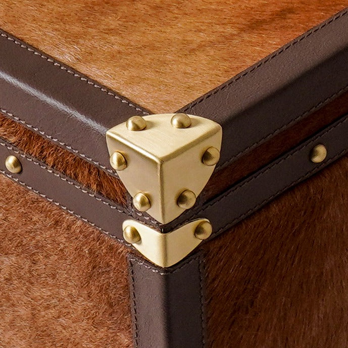 Hairon Leather Trunk