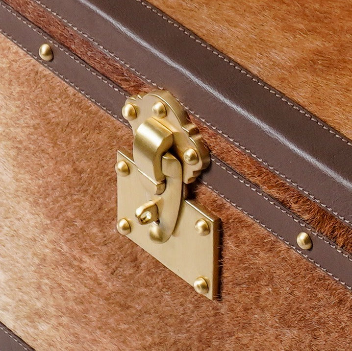 Hairon Leather Trunk