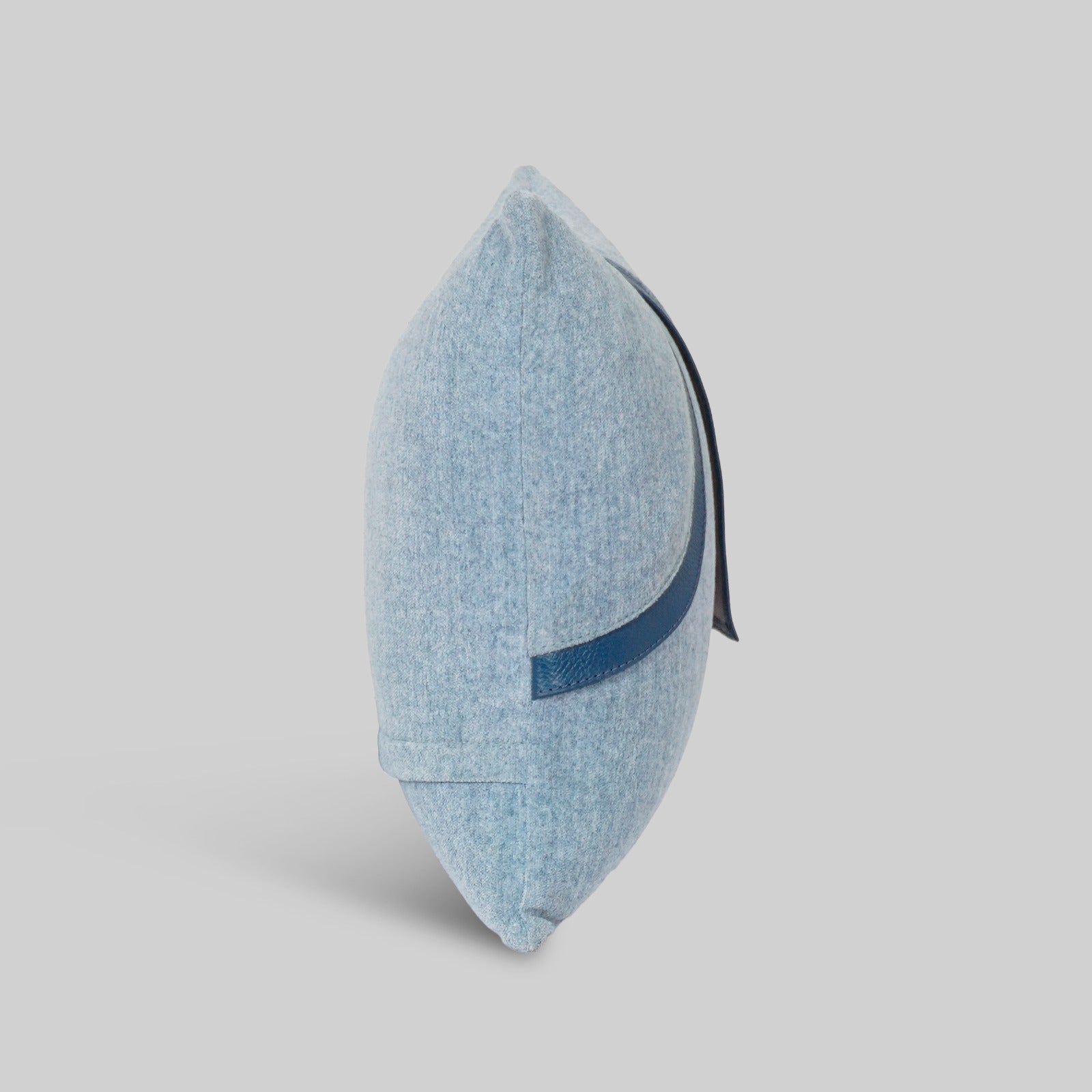 The Aqua Cushion