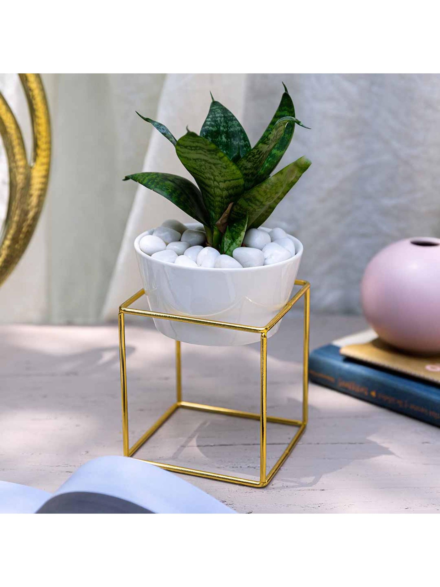 White Planter - Metal Gold Stand