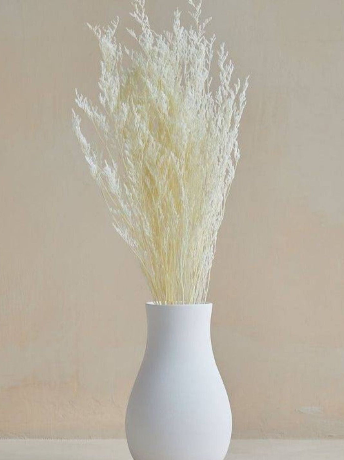 Limonium white
