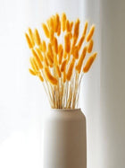 Yellow Bunny tails