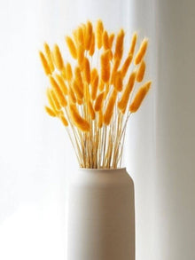 Yellow Bunny tails