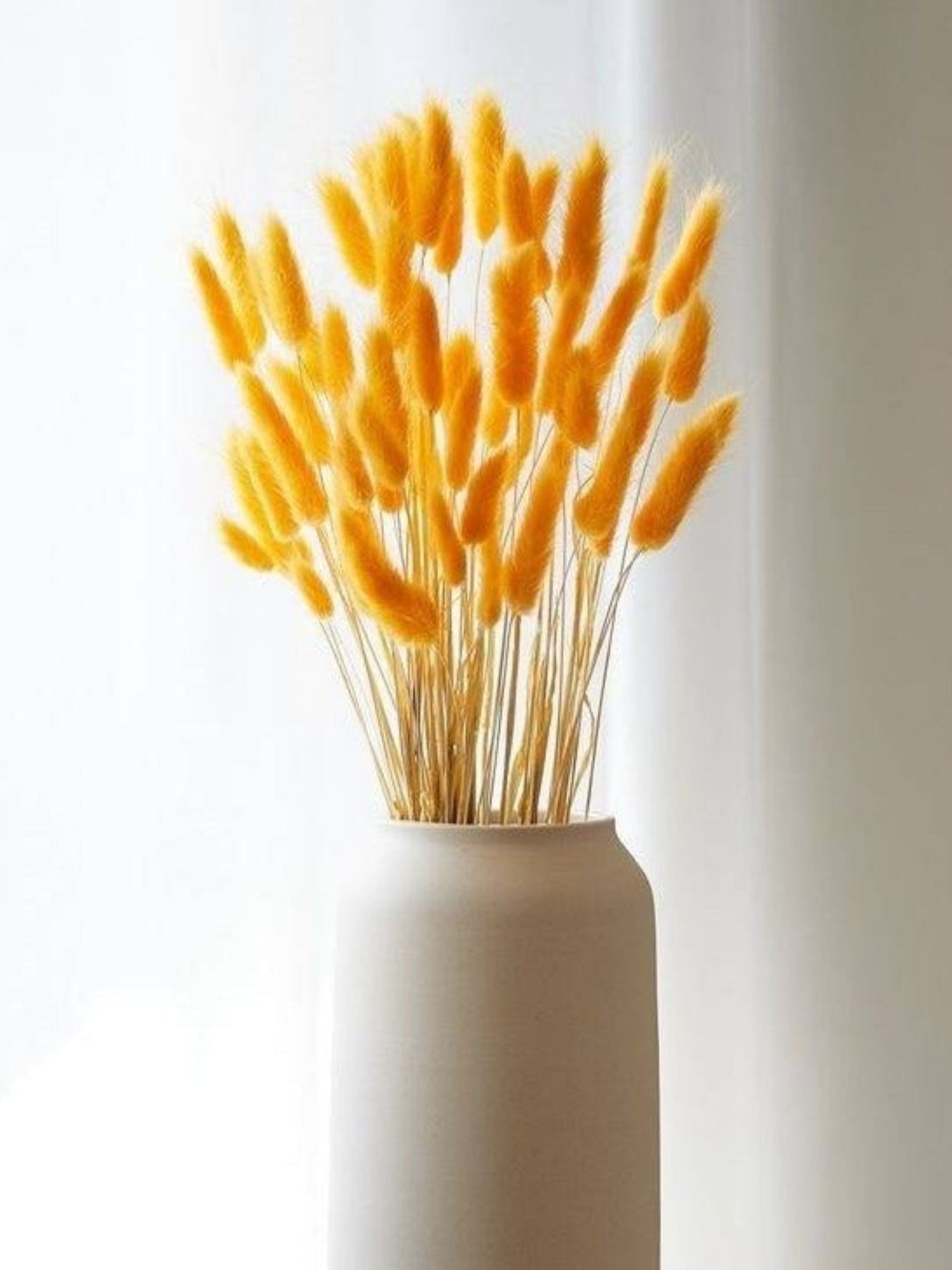 Yellow Bunny tails