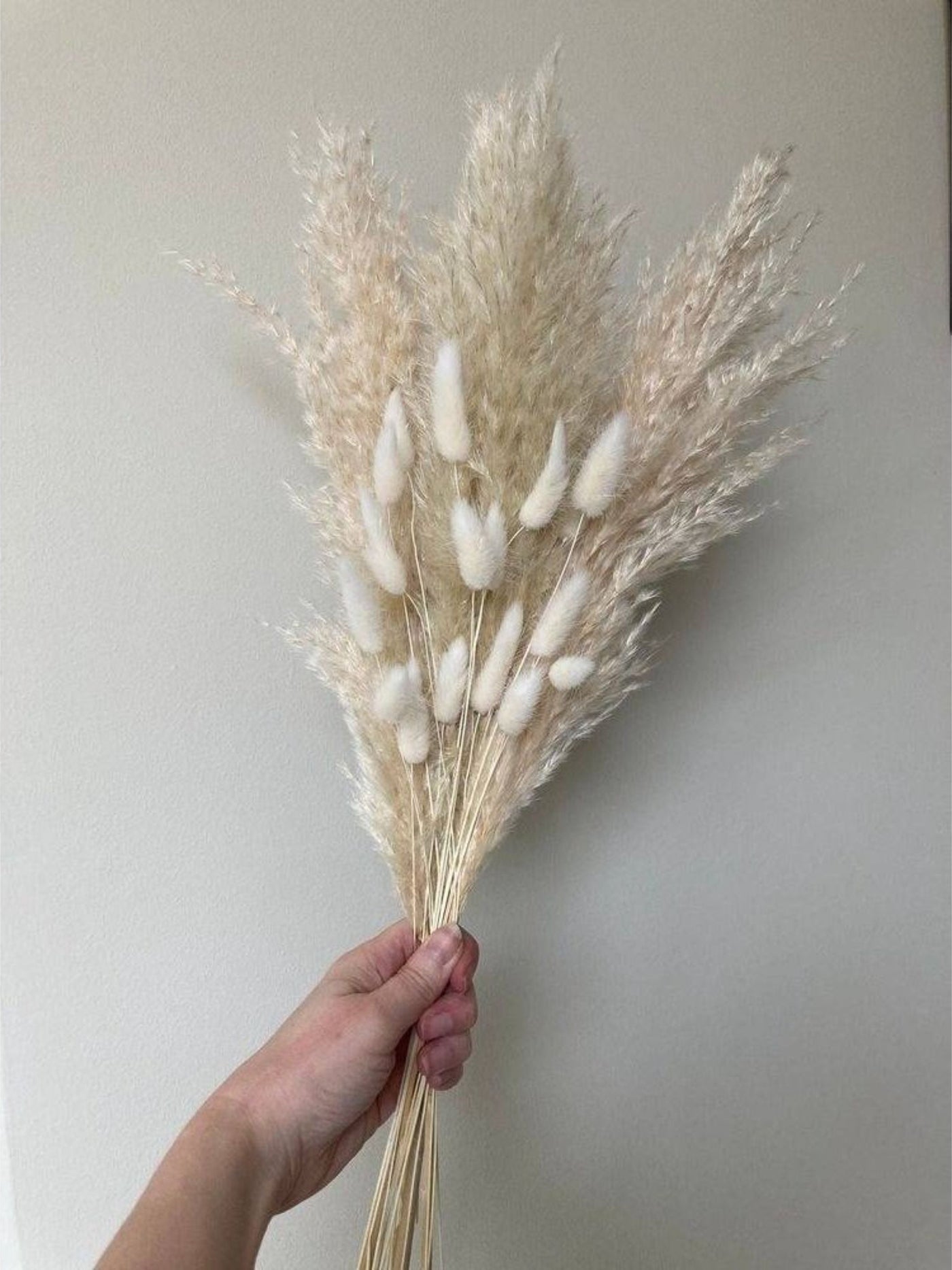 White Bunch