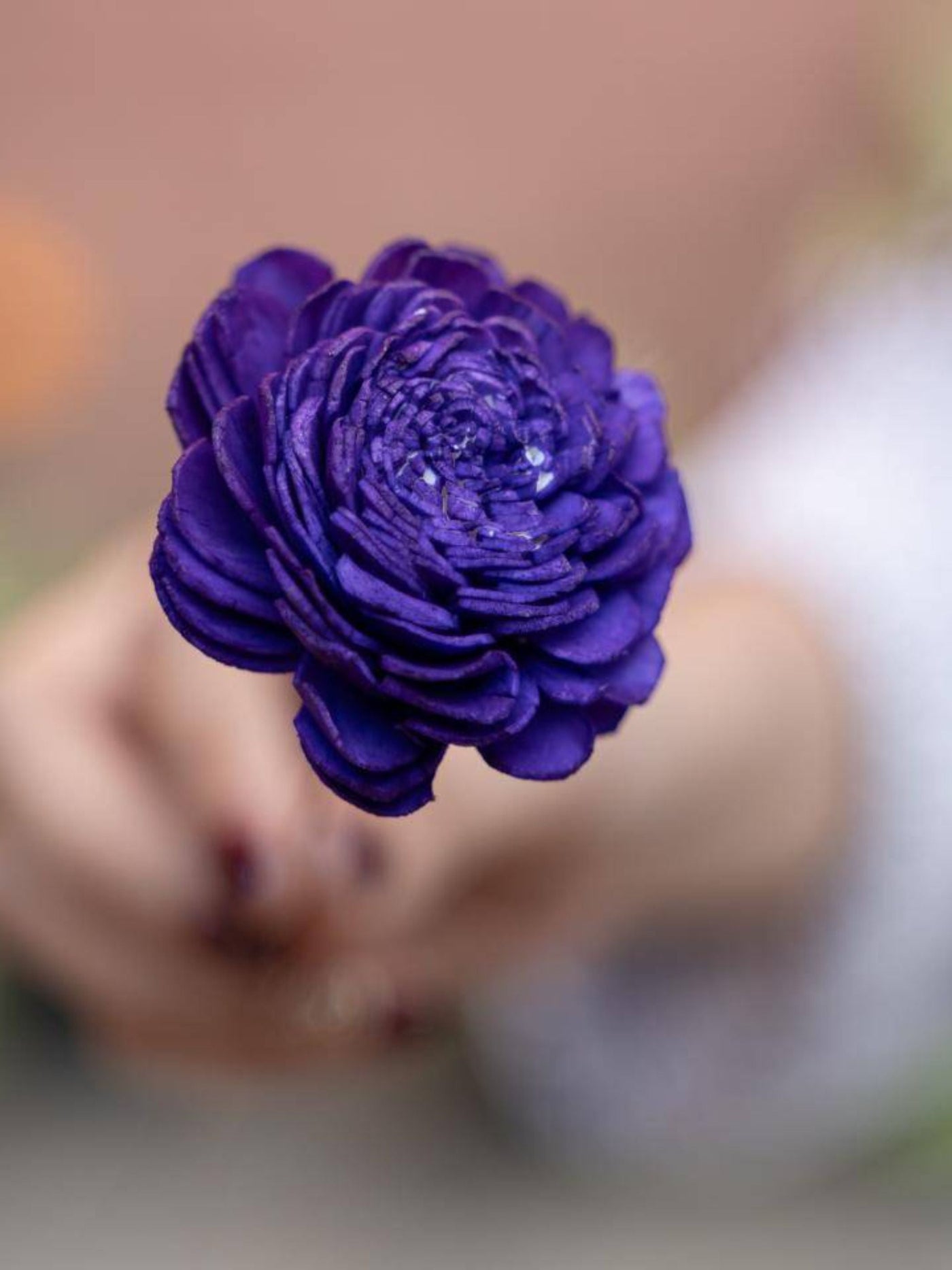 Sola Flower-Purple