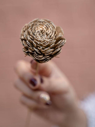 Sola Flower-Golden
