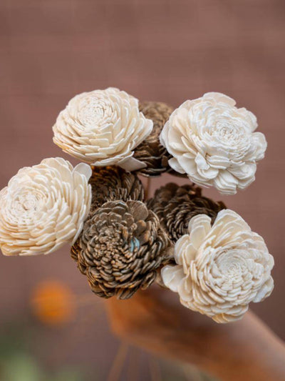 Sola Flower-Golden White