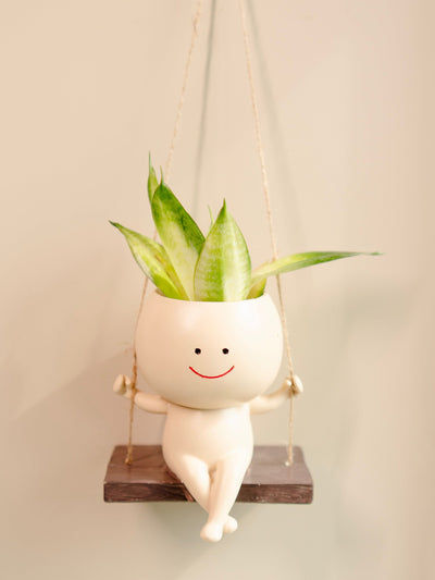 The Happy Hang planter